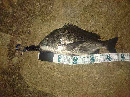 仕事帰りチニング